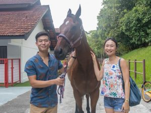 horses-indoor-21st-birthday-party-venue-event-space-house-for-rent-venuerific-needle-haystack-singapore