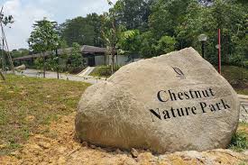 ultimate-valentines-guide-venuerific-guide-take-a-walk-chestnut-nature-park