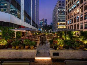 Outdoor area surrounded by tall buildings and potted plants