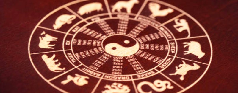 2023 Chinese Zodiac Guide